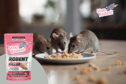 La science derrière notre formule anti-rongeur révélée : comment "Morts-aux-rats" fait face aux infestations avec précision et sécurité